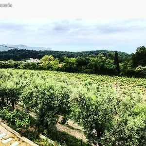  Appartement Dans Les Vignes De